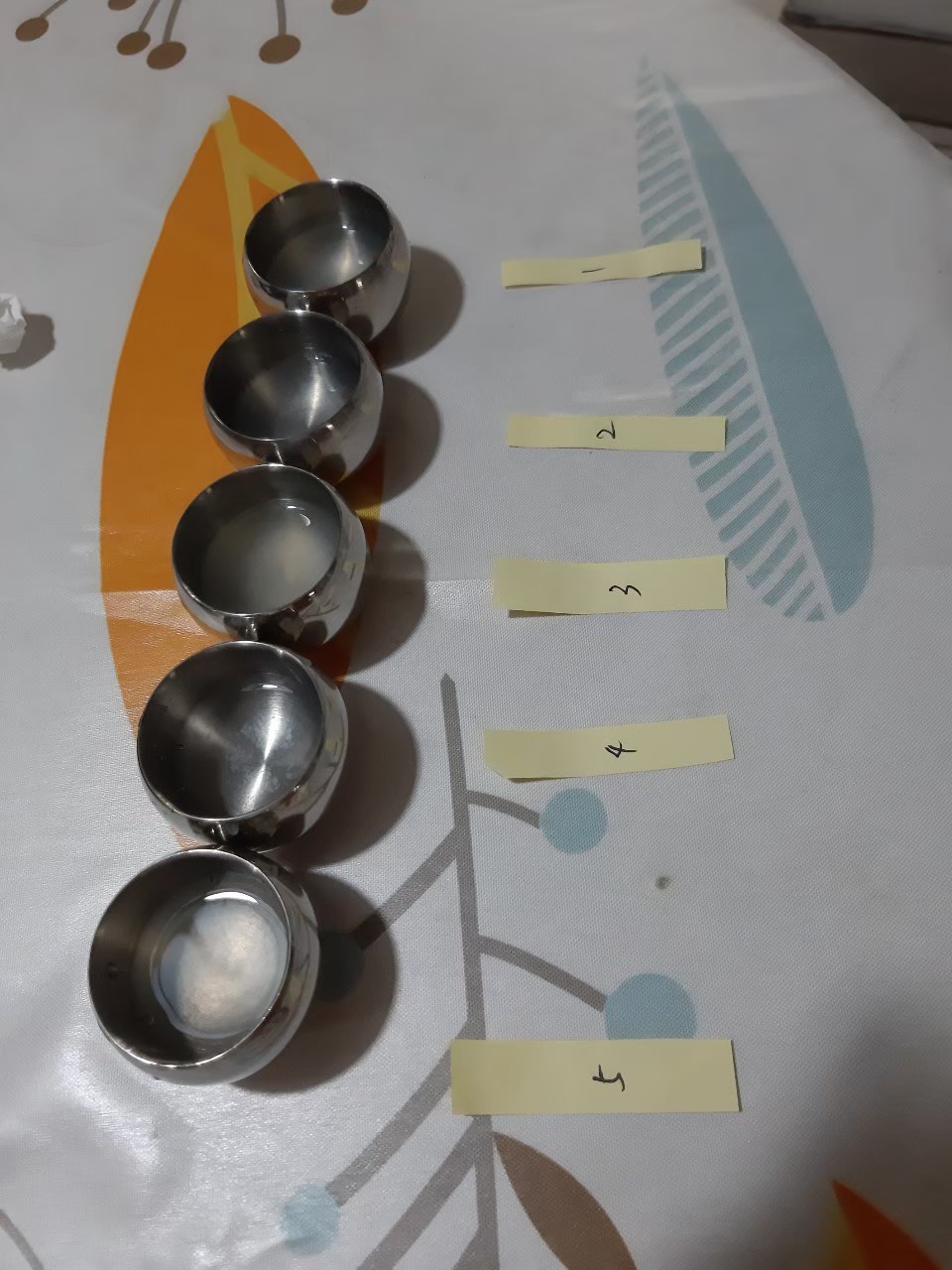 與小均認識十個月紀念，檸檬實驗，採買，一起下廚