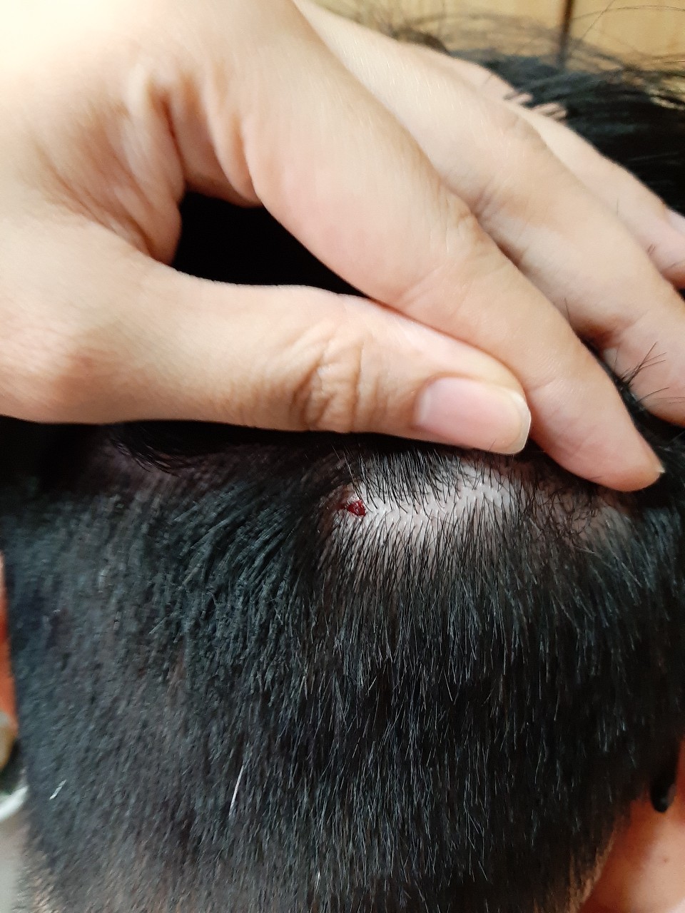 與小均遊戲團玩桌遊，吃海底撈