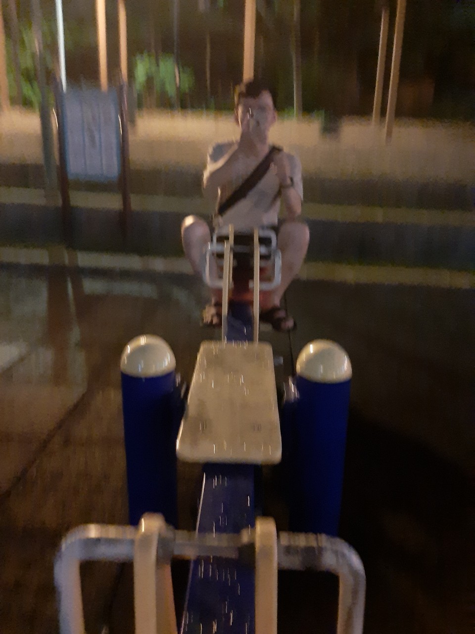 臨時去逛興仁吃晚餐，打香腸，夾零食，公園回憶散步