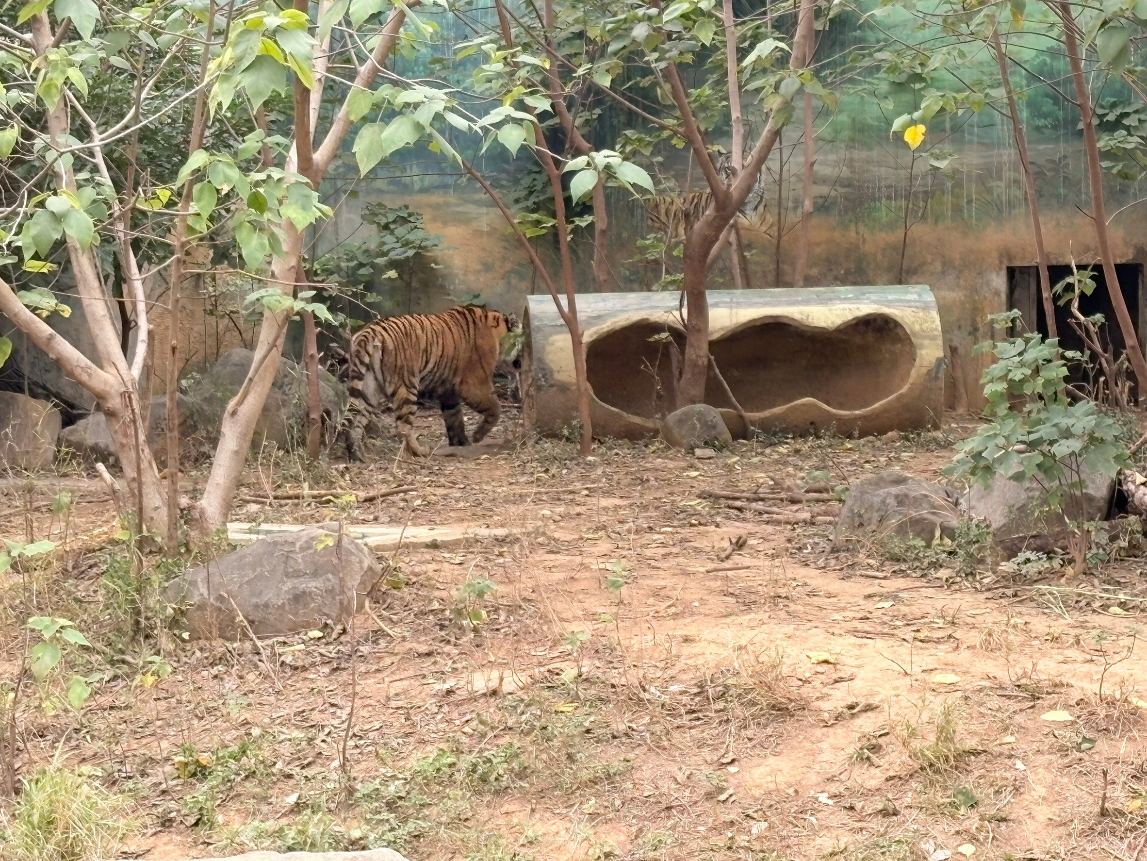 新竹一日遊，吃爆走爆