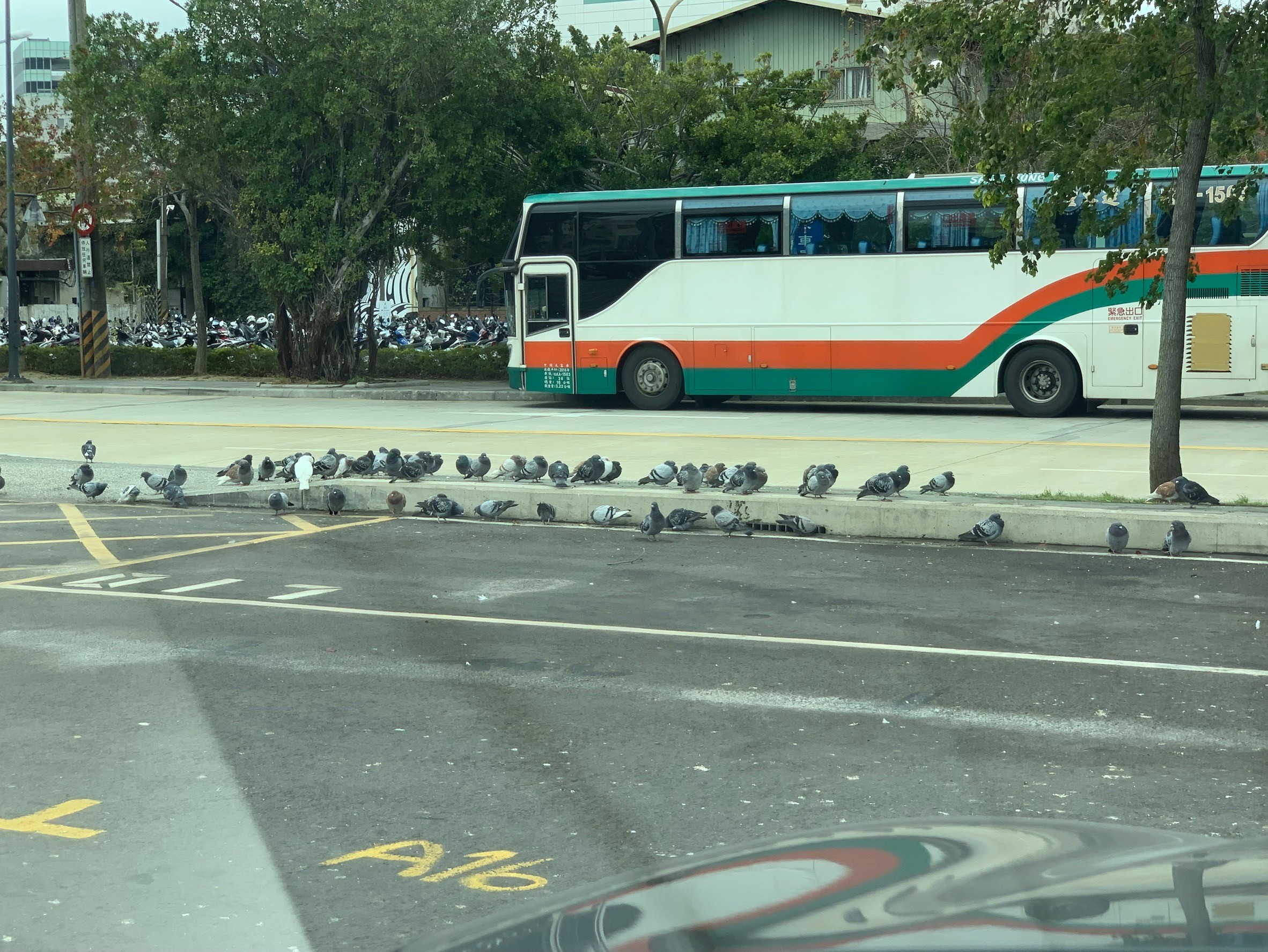 新竹一日遊，吃爆走爆
