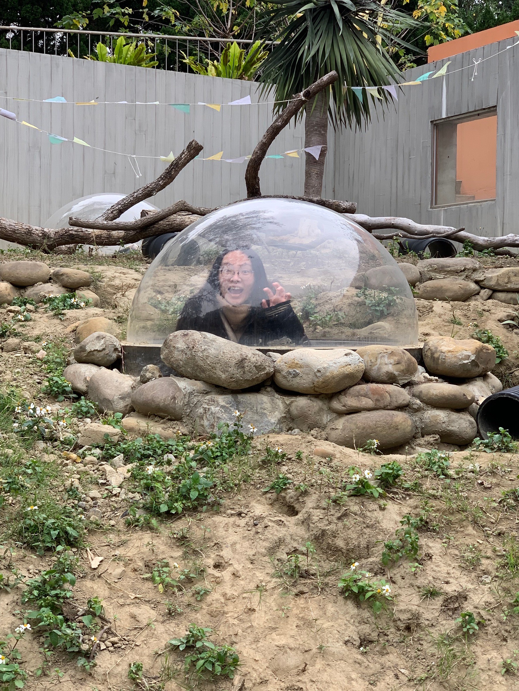 新竹一日遊，吃爆走爆