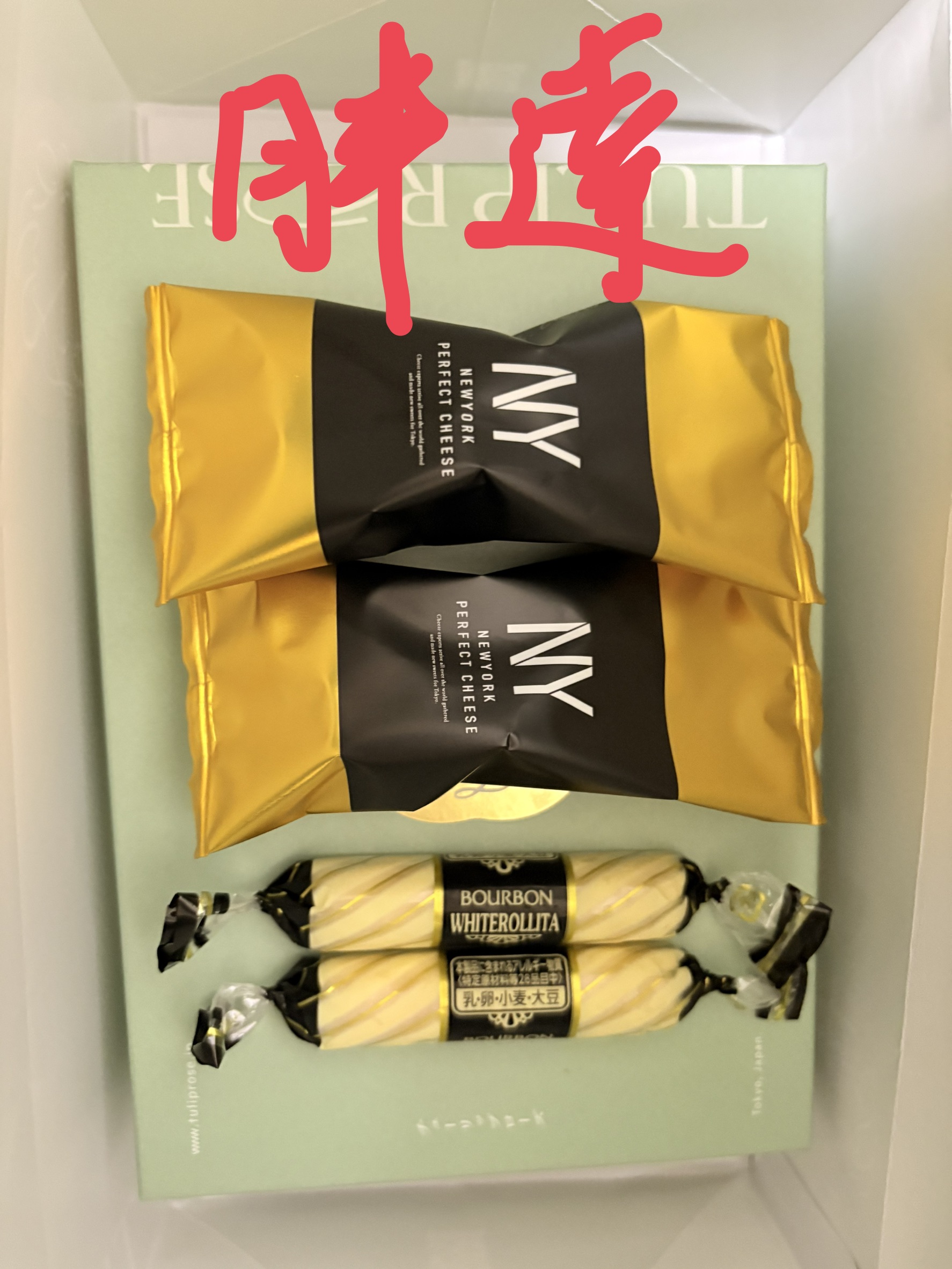 日本東京九日遊