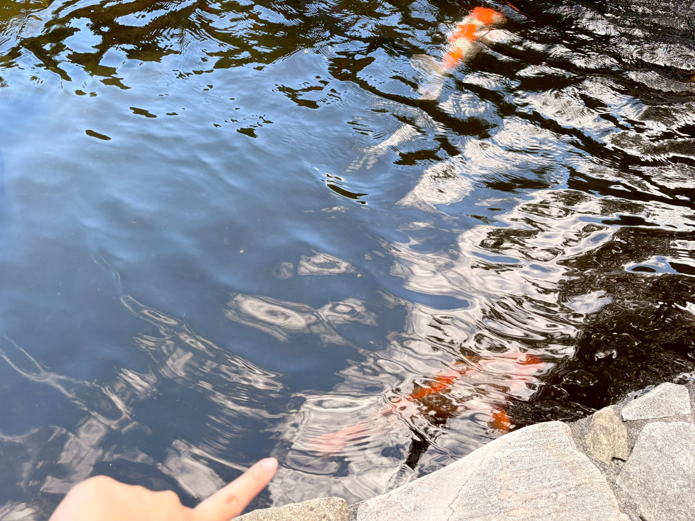 小均跟我爸媽哥哥心柔一起出遊，逛手信霧隱城、橫山書法藝術館、中壢觀光夜市吃爆