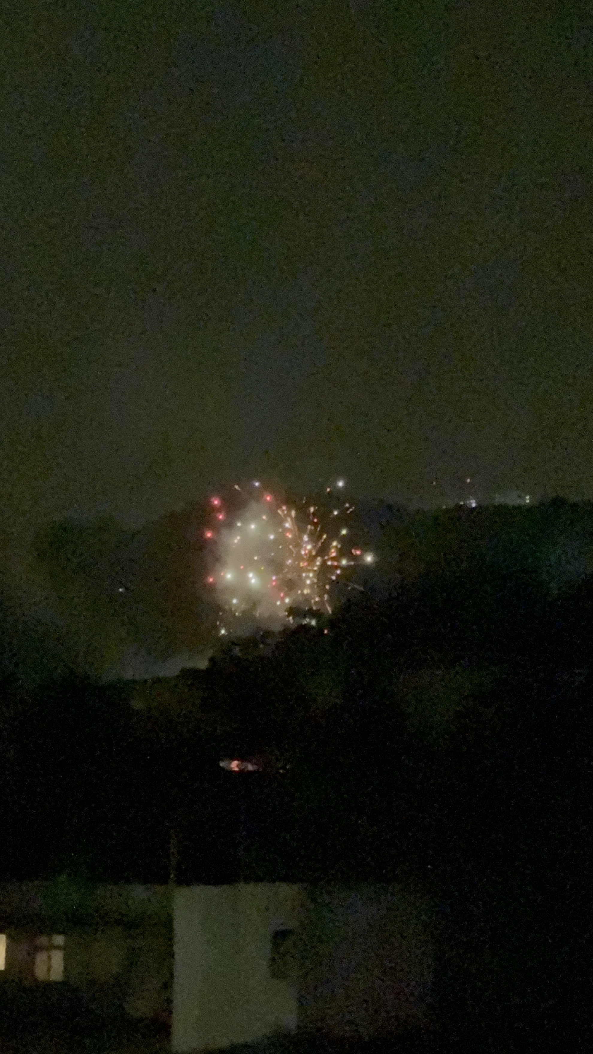 跟小均下雨搭公車去逛新莊廟街.新月橋散步回憶告白畫面.逛新開的NET.搭Uber回家好快樂.跟遊戲團跨年.動森倒數