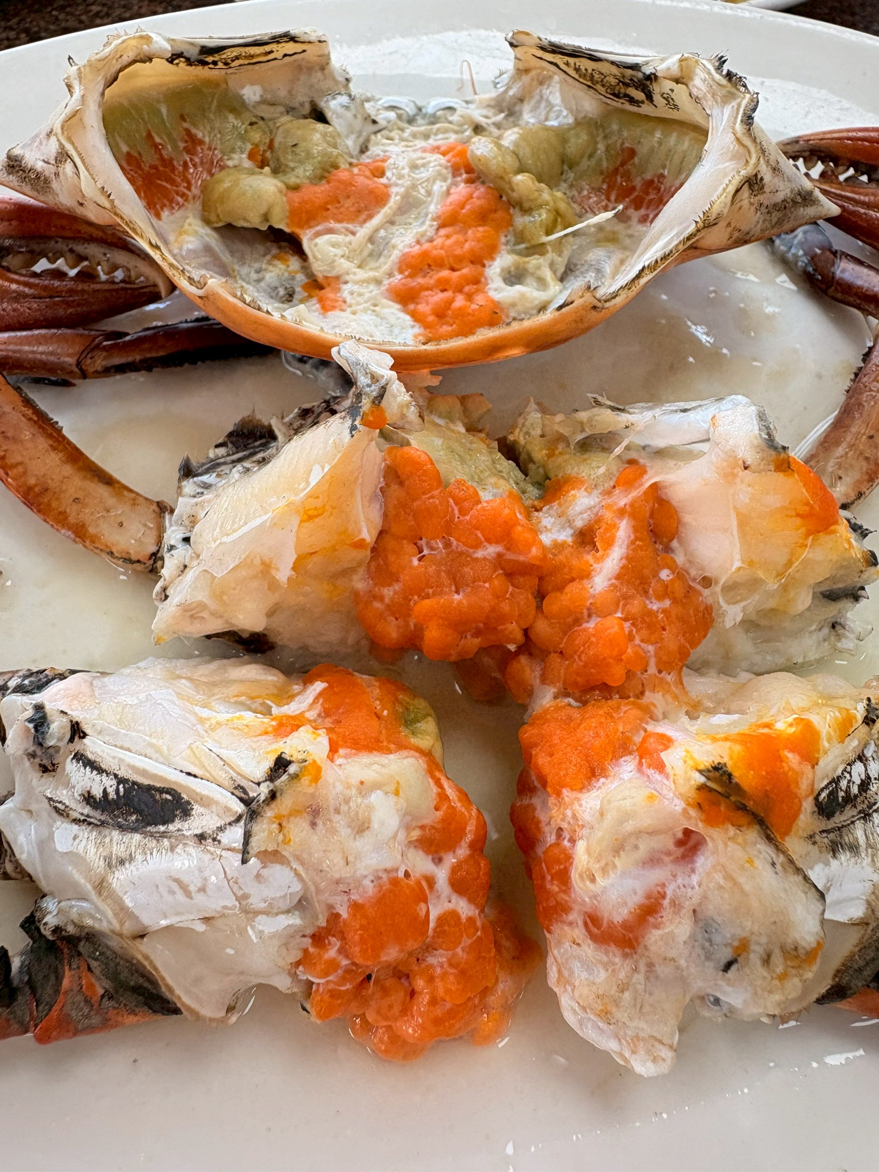 竹圍漁港賜福船長的店吃爆沙母螃蟹.風超大被吹著走